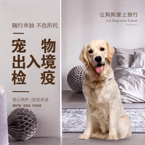 蚌埠市宠物托运到哥伦比亚猫狗宠物入境规定和