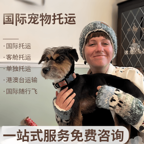 蚌埠市国际宠物托运到阿根廷宠物入境规定和要