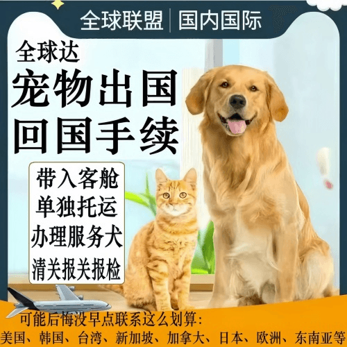 蚌埠市宠物托运到柬埔寨宠物入境规定和要求