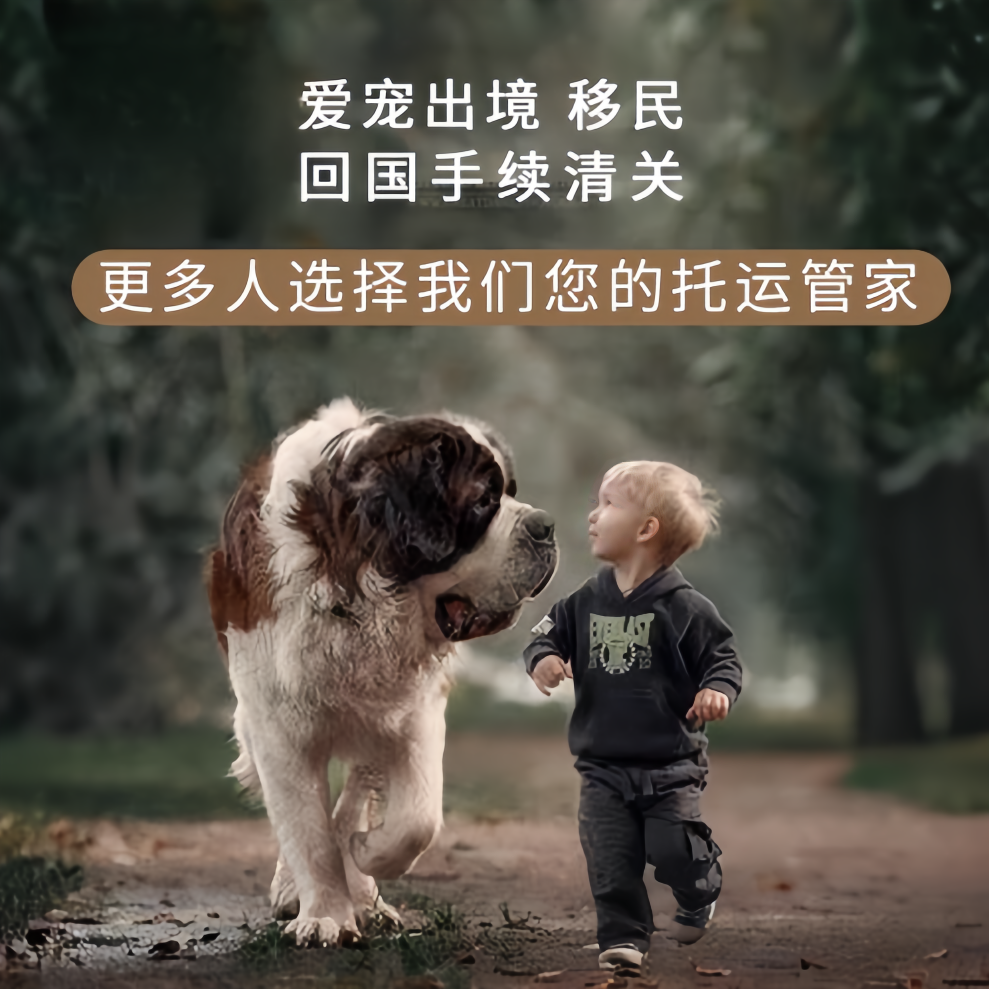 满财蚌埠市宠物全球达宠物托运在遵守入境目的地政策的条件