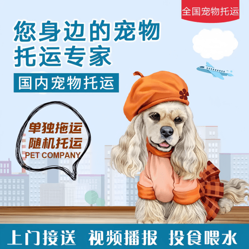 满财蚌埠市宠物全球达宠物托运作为专业的宠物运输代理机构